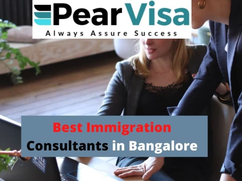 Why need Visa Consultant For Canada&nbsp;Immigration
